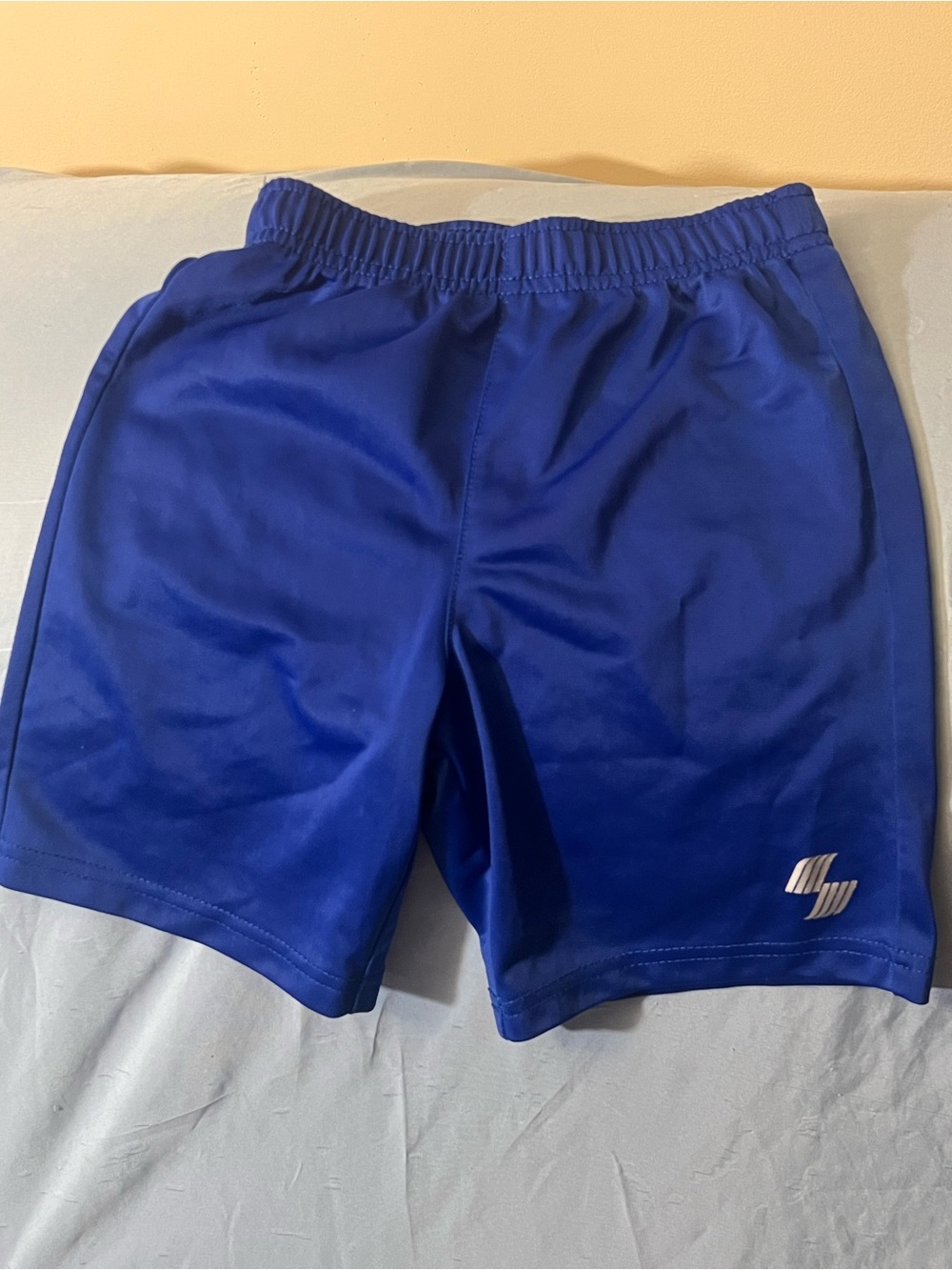 Place Sport Toddler Boys Blue Athletic Shorts